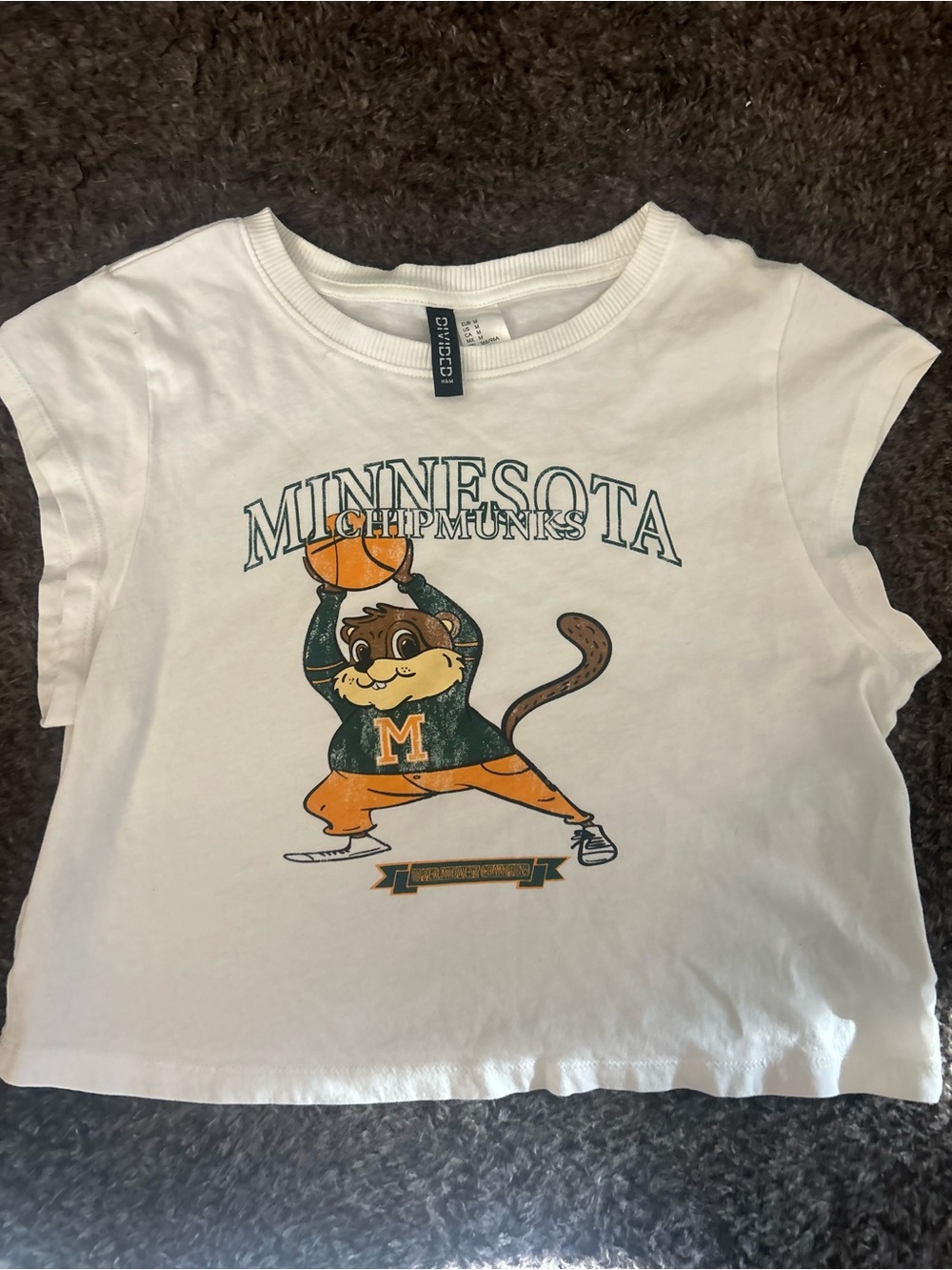 H&M White Crop Top with Minnesota Chipmunks Graphic